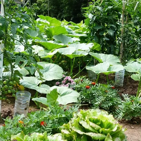 D'hotes Baudelys فندق مبيت وإفطار