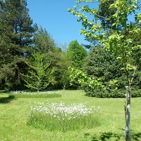 فندق مبيت وإفطار D'hotes Baudelys 3*