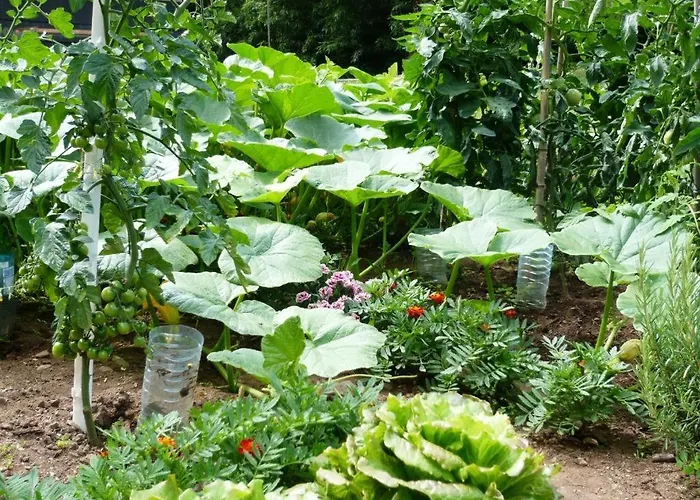 D'hotes Baudelys فندق مبيت وإفطار