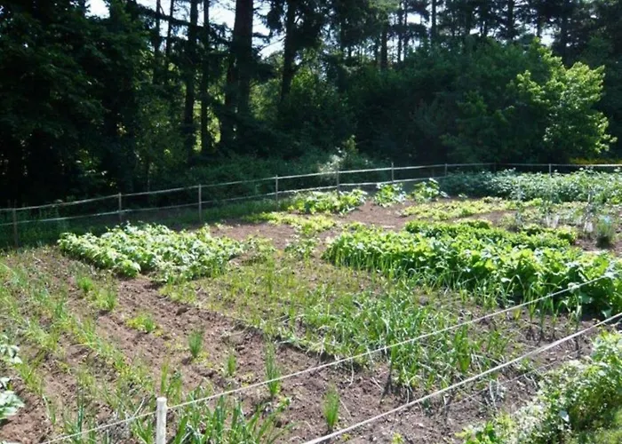 فندق مبيت وإفطار D'hotes Baudelys