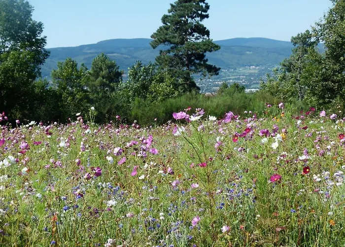 D'hotes Baudelys 3* Pont-de-Larn