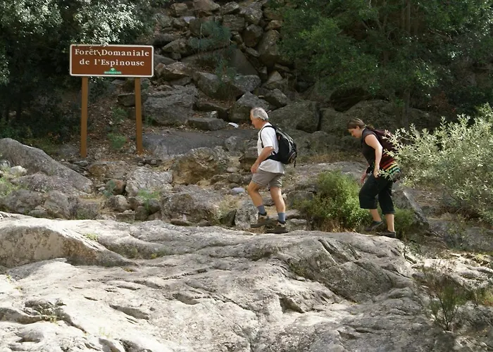 D'hotes Baudelys 3* Pont-de-Larn