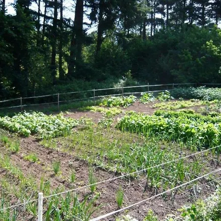 Bed & Breakfast D'hotes Baudelys