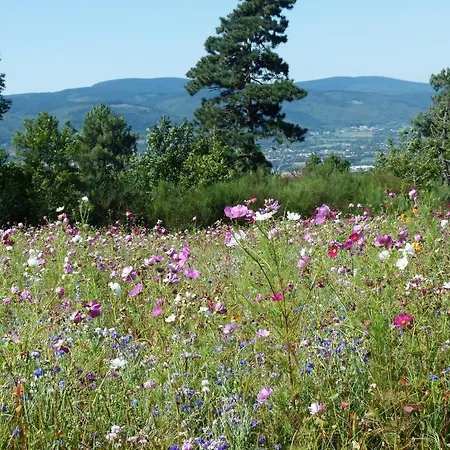 D'hotes Baudelys 3* Pont-de-Larn